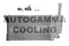 AUTOGAMMA 103411 Radiator, engine cooling
